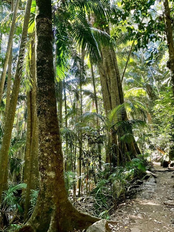 Mountain Studio Escape Mount Tamborine Kültér fotó